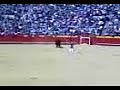 susto cogida en plaza de toros valencia susto cogida en plaza de toros valencia