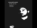 Squarepusher - I Wish You Obelisk