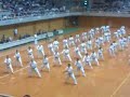 Kata at Uchinanchu Festival II