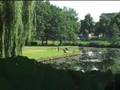 makelaar amsterdam bos en lommer