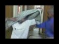 bidi jalaiyele- chintoo sir style bidi jalaiyele- chintoo sir style