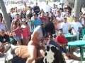 hot girl riding mechanical bull hot girl riding mechanical bull