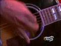 Alejandro Escovedo Shows His 'Real Animal' Colors