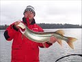 Eagle Lake Muskies Eagle Lake Muskies