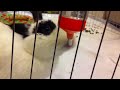 Click here to watch this video She is drinking the water
