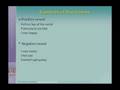 Coping With Stress - Staying Sane Through Difficult Times