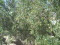 Ruta Valle Lecr�n II