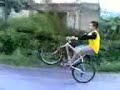 cavalo de bike