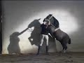 Cabriole, capriole réalisé par Tornado le poney shetland de Audrey HASTA LUEGO.spectacle equestre Utopia Elueteria.Résultat aprés 4 mois de travail...A suivre...