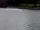 Arrowshark Testing 3