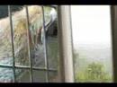 zoo 2 zoo 2