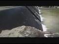 Jitega gujarat - 07
