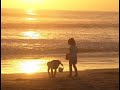 une petite plage bleue
pleine de mer et de soleil
une petite plage bleue
et des enfants qui s'�merveillent
une petite plage heureuse
vivante et gaie sous le soleil
une petite plage heureuse
aux airs de paradis partiel
o� la mer doucement s'�tire juste avant de se retirer
quand le commande la mar�e
ces cris d'enfant et cette mouette s'accrochant
sur le bas du ciel
ces voiles blanches, cette f�te
ce bal � nul autre pareil
cette paix bruyante et profonde des rires
et des jeux de l'�t�

une petite plage d'or
de sable fin sous le soleil
une petite plage encore
et des amants qui s' �merveillent
et cette plage qui se vide
a l'heure de midi sonn�e
et ces deux amants qui s'attardent
comme sans doute pour fixer
dans le silence qui s'installe autour de leur f�licit�
comme un moment d'eternit�
comme s'ils ne faisaient que na�tre
au grand amour fatalit�
si le temps avait cess� d'�tre
toutes pendules arr�t�es
et comme �cras�s par
d'un eldorado revel� 

une petite plage nue
sous le ciel bas d'un long hiver
une petite plage nue
pleine de souvenirs d' hier
elle attend patiente et sereine
que revienne un autre �t�
elle attend patiente et sereine
d'autres amants �merveill�s
peu lui importe ce qu'adviennent
ces amours qu'elle a berc�s
et qui n'ont dur� qu'un �t�
et puis dit-on que le temps passe � la vague
sur le rocher
et puis dit-on que tout s'efface au sable
qui nous vit passer
etale-t'on ces d�chirures
devant la nature apais�e

une petite plage r�ve
sous le ciel d'un soir d'�t�
une petite plage r�ve
pleine d'�toiles et de clart�
et cette fille qui m'attendait
cach�e, blottie dans les rochers
qui sit�t que j'apparaissais
s'�lan�ait vite pour danser
et mon c?ur s'arr�tait de battre
dans l'�blouissante clart�
de ces minutes-�ternit�
et la mer br�lait sous la lune
de cent mille feux allum�s
et les �toiles au ciel, superbes
faisaient une f�te beaut�
son corps tournoyait sous la lune
au bord de l'irr�alit�
cette fille... c'�tait toi
cette fille... c'�tait toi