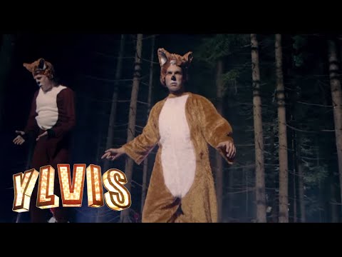 About Ylvis 1 - What Does the Fox Say? Part 1