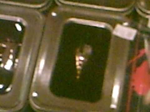 theblasphemousbear - So, my friend Mike (/user/WolfLink423) and I went to Youmacon 2009 today in Dearborn, Michigan. I took my camera, and recorded a whole bunch of random clips ...