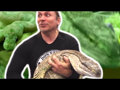 YouTube reptile video