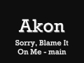 Akon - Sorry, Blame It On Me - Main