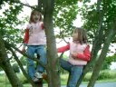 ana_sania_sing_on_the_tree