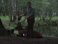 Deerhunter jacht jagen hunting Edelhert jagt