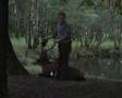 Deerhunter jacht jagen hunting Edelhert jagt
