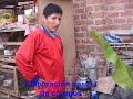 Abono organico