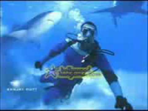 First Look Of Blue Hindi Movie - Akshay, Katrina, Zayed, Lara (Music : AR RAHMAN)
