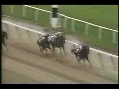 Cigar - The Ultimate Runner