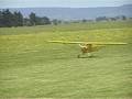 Aunty's Piper Cub