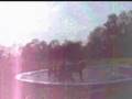 Death Cab For Cutie - Your Bruise