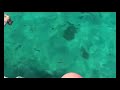 Cayo Largo - Escursione da La Habana Cayo Largo - Escursione da La Habana