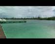 Guarda video