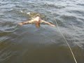 Dett bodyski achter zeilboot