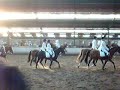 Carrousel manege gerner by Lotte v. sprang Carrousel manege gerner by Lotte v. sprang