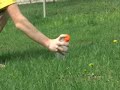 Vinegar/Baking Soda Bomb Explodes on My Hand Vinegar/Baking Soda Bomb Explodes on My Hand