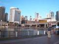 シドニー探訪 visit sydney