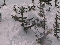 Fraizer Basin Avalanche Fraizer Basin Avalanche