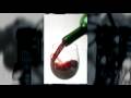 Make Homemade wine out of grape juice Make Homemade wine out of grape juice