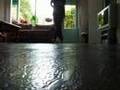 JumpingMossy - My Skillz