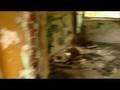 videos de Parowozownia - październik 2008