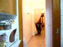 Hosti�n de Jessi en la silla