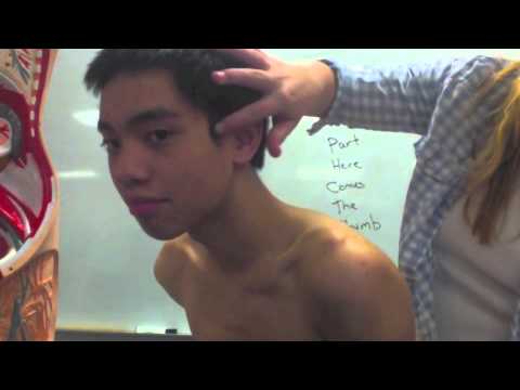 how to pass a&p lab exam