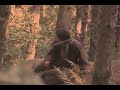 Ricordi-cortometraggio Piossasco
