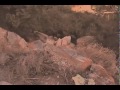 Ricordi-cortometraggio Piossasco