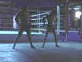 Muay thai training 2 Muay thai training 2