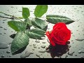 Ali Kinik - Elbet Bi