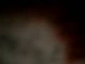 videos de Mango the parrotlet singing