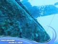 DIVE ADVENTURES WITH GUILLAUME GAUTHIER