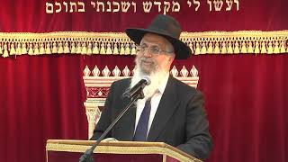 הלכות תערובת חמץ | הרב יורם סרי