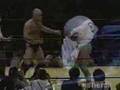 Bas Rutten Highlights 