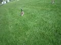 DUCKY! DUCKY!